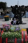 Dcim7701/DSC_1581