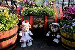 Dcim7702/DSC_1725
