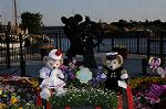 Dcim7702/DSC_1736