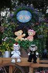 Dcim7702/DSC_1752