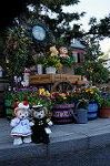 Dcim7702/DSC_1761