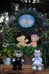 Dcim7702/DSC_1796