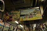 Dcim7713/DSC_3008