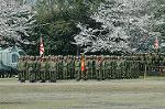 Dcim7714/DSC_4985