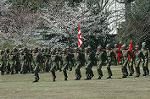 Dcim7714/DSC_4990