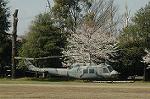 Dcim7714/DSC_5031
