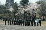 Dcim7714/DSC_5053