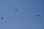 Dcim7715/DSC_3113