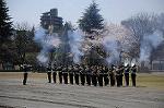 Dcim7718/DSC_3482