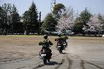 Dcim7718/DSC_3488