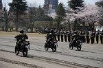 Dcim7718/DSC_3499