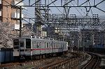 Dcim7721/DSC_3967