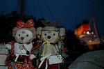 Dcim7722/DSC_5278