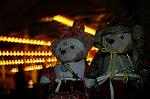 Dcim7722/DSC_5293