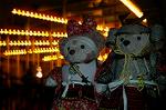 Dcim7722/DSC_5296