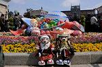 Dcim7724/DSC_4057
