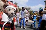 Dcim7725/DSC_4134