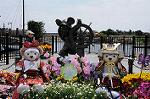 Dcim7727/DSC_4475