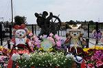 Dcim7727/DSC_4477