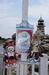 Dcim7727/DSC_4502