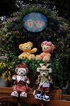Dcim7727/DSC_4522
