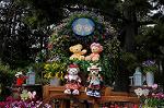 Dcim7727/DSC_4524