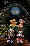 Dcim7727/DSC_4527