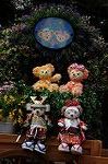 Dcim7727/DSC_4529