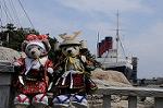 Dcim7727/DSC_4540