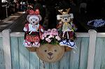 Dcim7728/DSC_4620