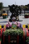 Dcim7728/DSC_4635