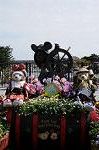Dcim7728/DSC_4637