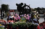 Dcim7728/DSC_4639