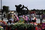 Dcim7728/DSC_4644