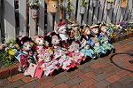 Dcim7728/DSC_4684