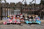 Dcim7728/DSC_4717