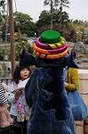 Dcim7729/DSC_4740