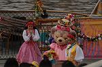 Dcim7730/DSC_4909