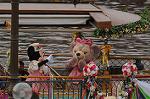 Dcim7730/DSC_4970