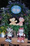 Dcim7732/DSC_5196