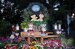 Dcim7732/DSC_5208