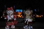 Dcim7732/DSC_5295