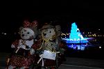 Dcim7733/DSC_5439