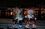 Dcim7734/DSC_5576