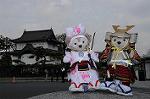 Dcim7737/DSC_5633