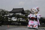 Dcim7737/DSC_5649