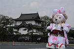 Dcim7737/DSC_5653