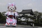 Dcim7737/DSC_5654