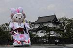 Dcim7737/DSC_5655