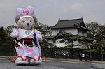 Dcim7737/DSC_5656